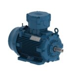 W22Xdb - Flameproof Ex Db - SEMESTA TUNAS MANDIRI - WEG ELECTRIC MOTOR ...